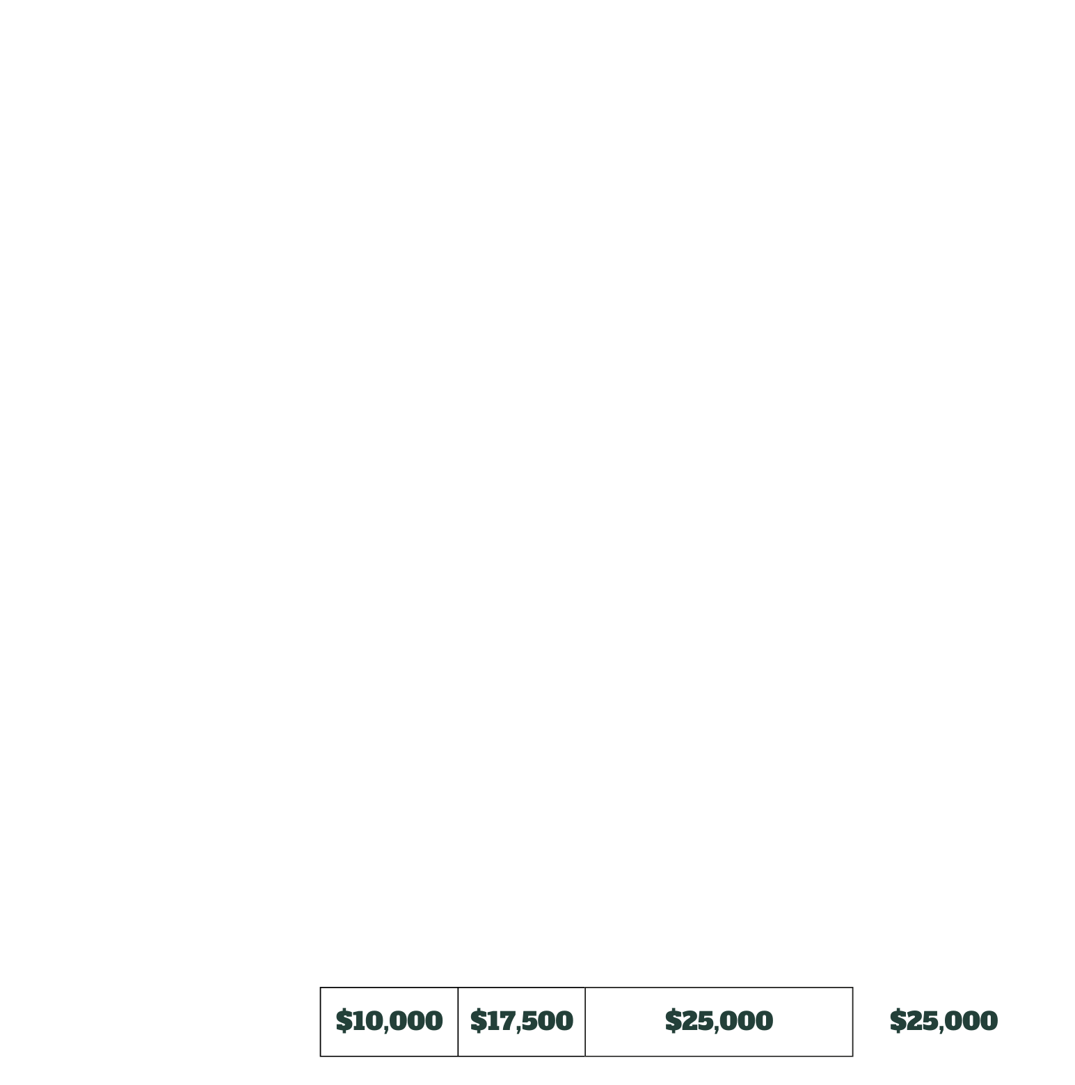 Pricing details from our 2025 sponsorship prospectus. More details in the downloadable file listed on this page